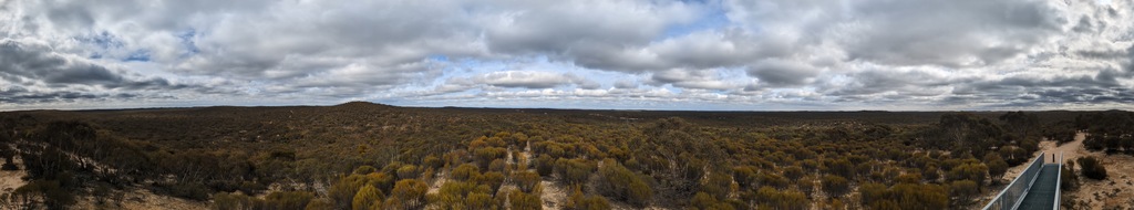 australianecocoffins.com.au